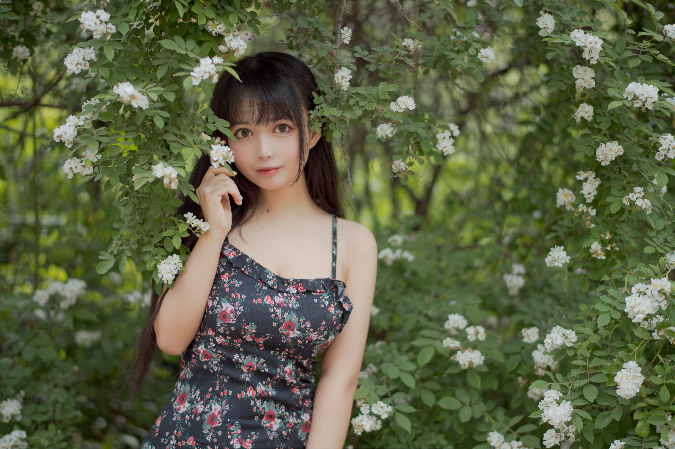 图片[1]-黑猫猫 – NO.021 蔷薇1 [22P]-XikXak